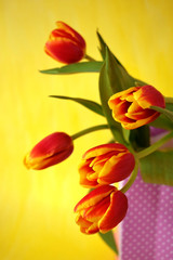 Bouquet of red tulips on bright yellow background