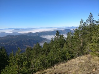 Autumn Landscape on Zlatibor Mountain, Serbia