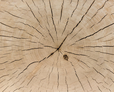 Holz, Hintergrund, Holzstruktur