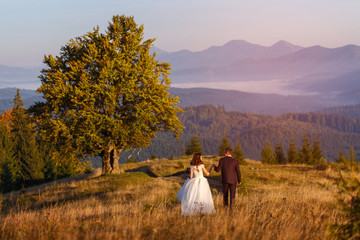 Man and woman Just married in the mountains at sunset.