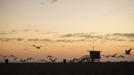 Beautiful Silhouette Of The Beach At Sunset With Birds In Flight