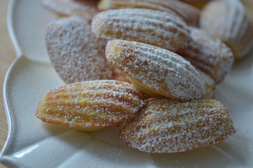 french Madeleine cakes