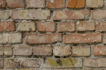 Obraz premium old red brick wall texture background