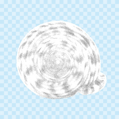 Vector seashell isolated  on the transparent background