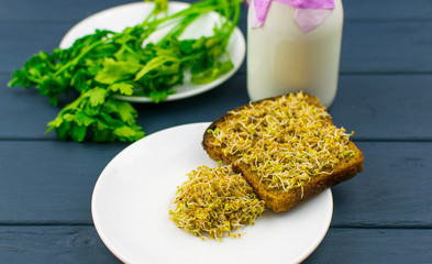 Food sprouts on a piece of black bread.
