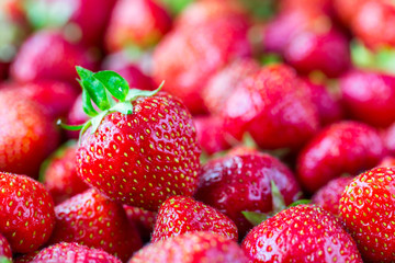 A lot of delicious ripe strawberries