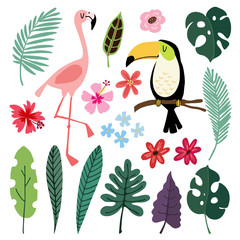 Summer tropical graphic elements. Toucan and flamingo birds. Jungle floral illustrations, palm, monstera leaves, hibiscus flowers. Isolated illustrations, kids flat design, vectors. Exotic nature. © tabitazn