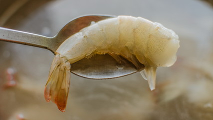 tiger shrimp on a spoon