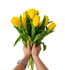 first person view. woman hold bouquet of yellow tulips. white background. isolated