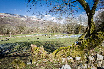 Fototapeta premium panorama of a welsh countryside with snow and sunlight