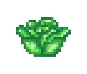 Green headed cabbage, pixel art food icon isolated on white background. Vegetable symbol. Old school 8 bit slot machine pictogram.Retro 80s; 90s video game graphics. Appetizing healthy diet ingredient