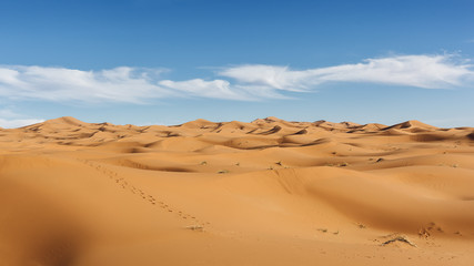 Fototapeta na wymiar The desert landscape and sand dunes