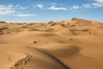 The desert landscape and sand dunes
