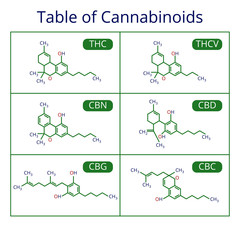 Cannabis skeletal cbd formula. Marijuana molecules vector set