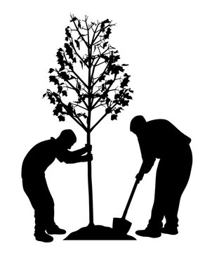 recommend clip art: Two men planting a tree. In EPS vector file tree and workers are separated.