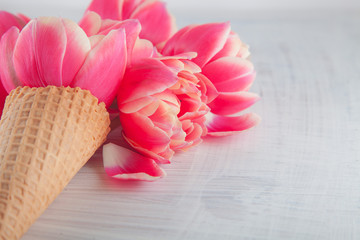 Flatlay waffle sweet ice cream cone with pink tulips blossom flowers over white wood background,...