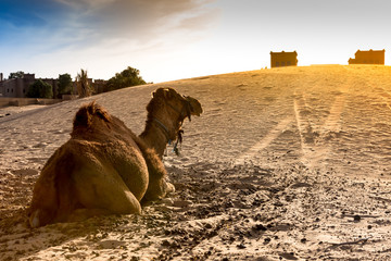 Merzouga in the Sahara Desert in Morocco