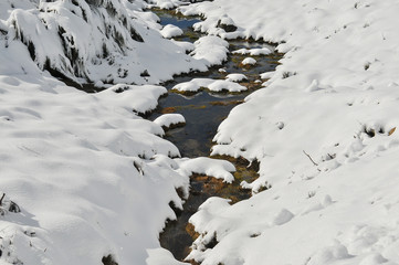 Paisagem de inverno