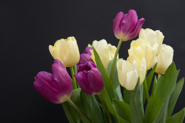 Tulip flowers postcard