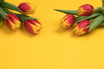 Tulip flowers postcard