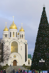 Obraz premium Main new year tree of the city on the Victory square