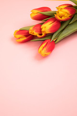 Tulip flowers postcard