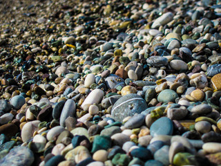 Colorful pebbles on the beach.