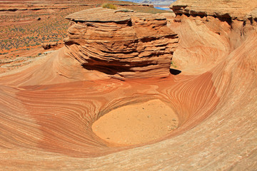 The New Wave, Arizona