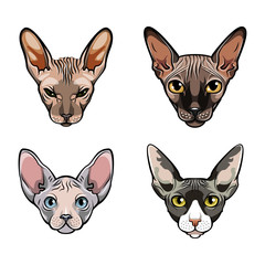 Sphinx cats set. Collection of exotic cats of breed a sphinx. Cat portrait. Vector.