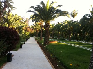 Fototapeta premium Hotel Palmer jardin