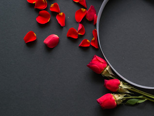 red roses and rose petals on a gray background