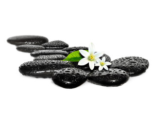 zen basalt stones and white flowers.