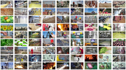 Collage industrial production. People working in a food industry, construction, agriculture, farm animal, foundry, processing factory, bakery, metal industry, production of fruits and vegetable