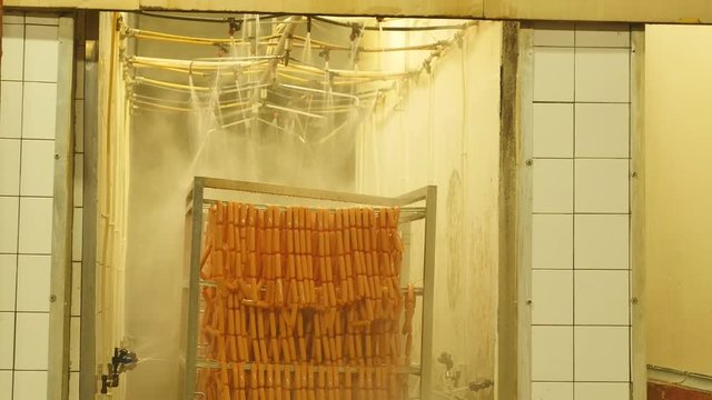 Factory for manufacturing sausages and meat