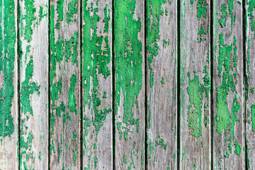 texture cracked wood with green paint
