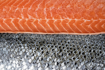 Fresh raw salmon fillet with silver fish skin as background