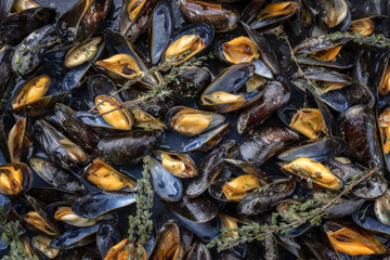 Traditional barbecue Italian blue mussel with rosemary in white wine as top view on a tray