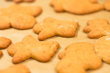 Ginger biscuits lie on a baking sheet. Cookies on baking paper. Selective focus.
