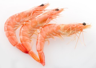 Cooked Prawns or Tiger Shrimps in on White Background