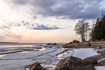 Sunset winter lake shore landscape with stones, snow and ice, bare trees, cloudy sky. Ladoga lake