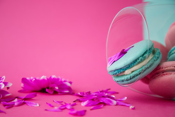 close-up of mint and pink mocaruns in a clear glass goblet that lies near the pink color on a mint and pink background