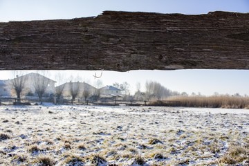 Weide im Winter