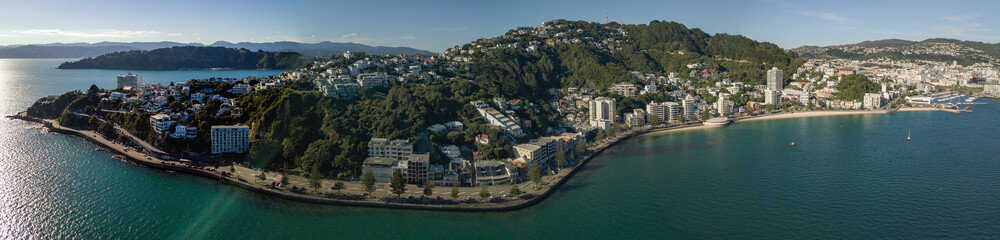 Fototapeta na wymiar Wellington Panorama, Evans To Oriental Bay 