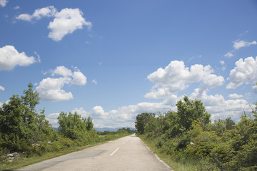Fototapeta na wymiar road going through the sunny spring or summer countryside in south Croatia