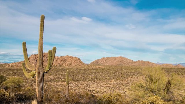 Time lapse of Arizona Saguaro cactus with moving clouds and mountains in background.