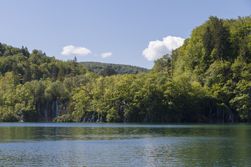Fototapeta premium beautiful nature at 