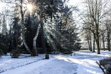 Greifswald, Neuer Friedhof im Winter