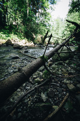 A wide mountain stream