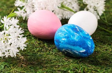 Easter eggs and white flowers on a background of grass