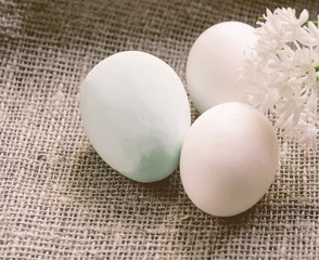 Easter eggs and white flowers on canvas